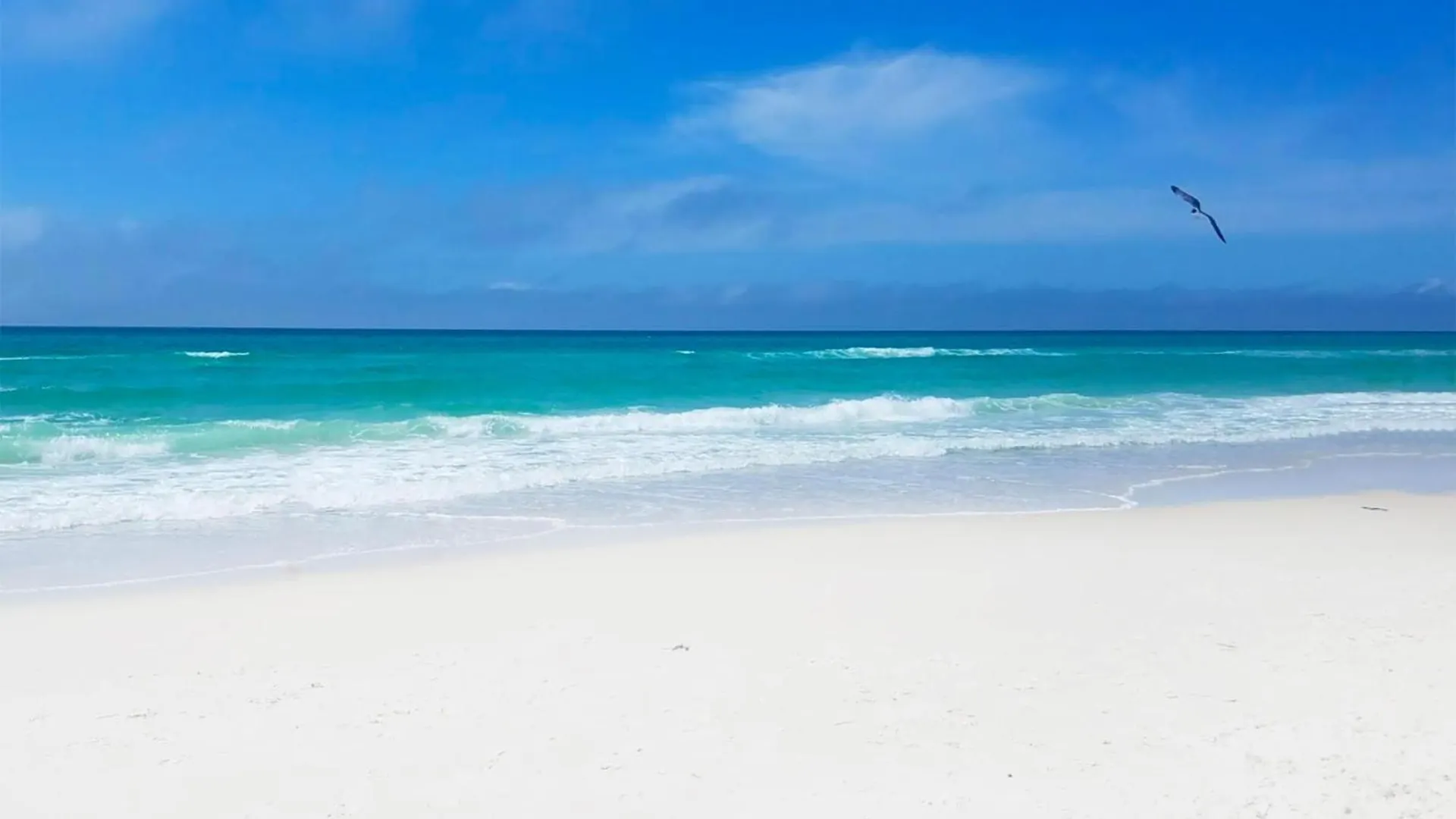 Semesterbostad Majestic Beach Towers 2-1005 Panama City Beach